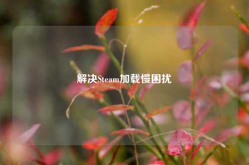 解决Steam加载慢困扰