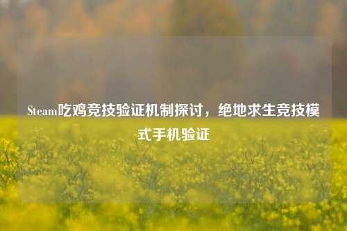 Steam吃鸡竞技验证机制探讨，绝地求生竞技模式手机验证