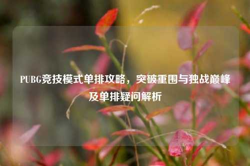 PUBG竞技模式单排攻略，突破重围与独战巅峰及单排疑问解析