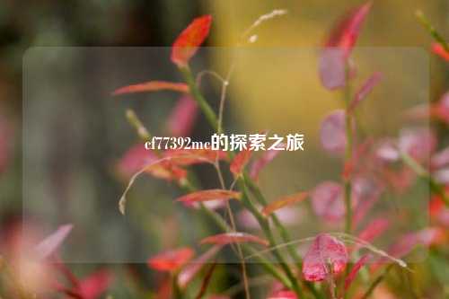 cf77392mc的探索之旅