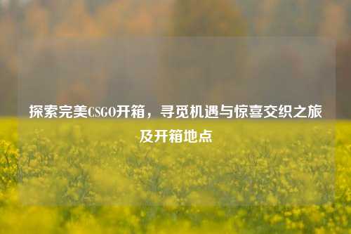 探索完美CSGO开箱，寻觅机遇与惊喜交织之旅及开箱地点