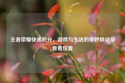 王者荣耀快递积分，游戏与生活的奇妙联动及查看位置