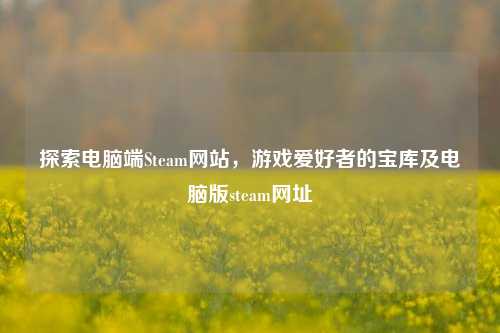 探索电脑端Steam网站，游戏爱好者的宝库及电脑版steam网址