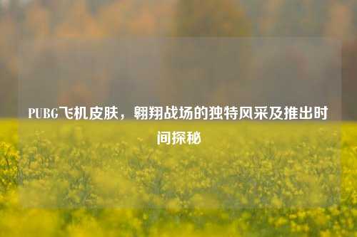 PUBG飞机皮肤，翱翔战场的独特风采及推出时间探秘