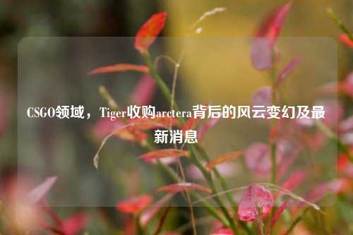 CSGO领域，Tiger收购arctera背后的风云变幻及最新消息