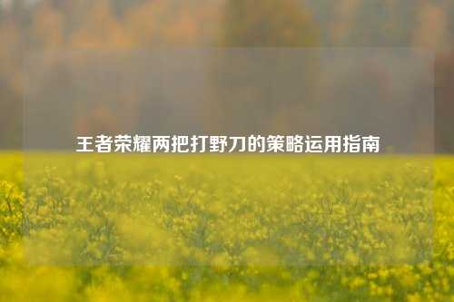 王者荣耀两把打野刀的策略运用指南