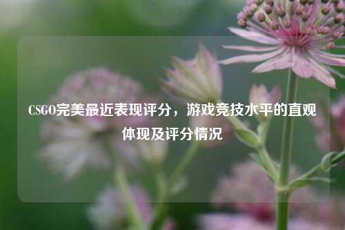 CSGO完美最近表现评分，游戏竞技水平的直观体现及评分情况