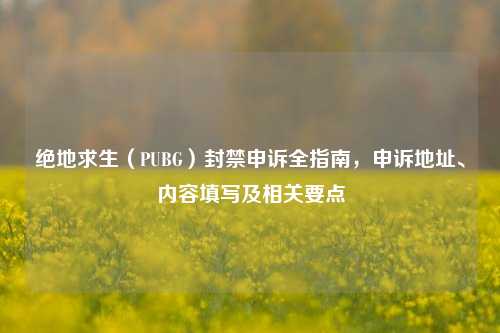 绝地求生（PUBG）封禁申诉全指南，申诉地址、内容填写及相关要点