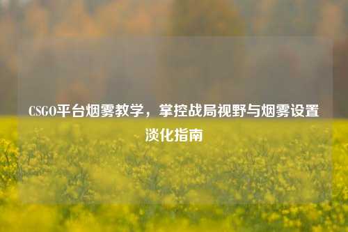 CSGO平台烟雾教学，掌控战局视野与烟雾设置淡化指南
