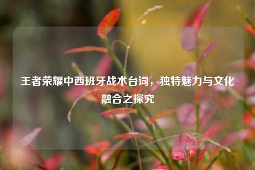 王者荣耀中西班牙战术台词，独特魅力与文化融合之探究