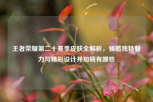 王者荣耀第二十赛季皮肤全解析，领略独特魅力与精彩设计并知晓有哪些