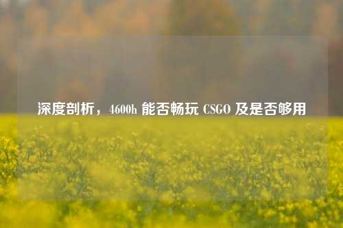 深度剖析，4600h 能否畅玩 CSGO 及是否够用