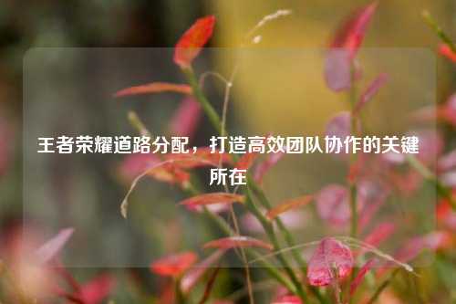 王者荣耀道路分配，打造高效团队协作的关键所在