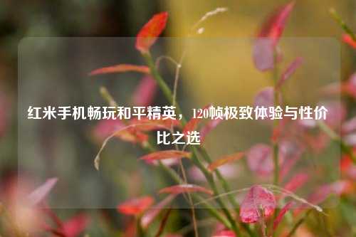 红米手机畅玩和平精英，120帧极致体验与性价比之选