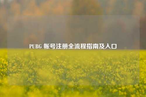 PUBG 帐号注册全流程指南及入口