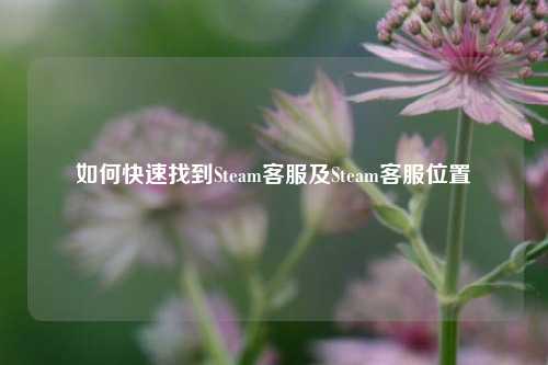 如何快速找到Steam客服及Steam客服位置