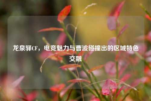 龙泉驿CF，电竞魅力与曹波碰撞出的区域特色交融