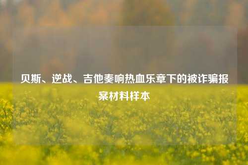 贝斯、逆战、吉他奏响热血乐章下的被诈骗报案材料样本