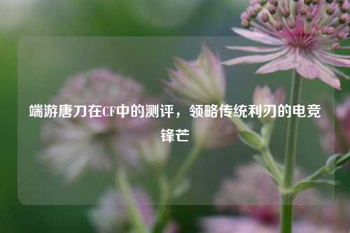 端游唐刀在CF中的测评，领略传统利刃的电竞锋芒