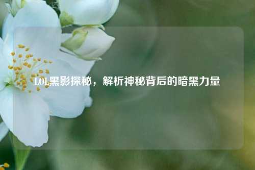 LOL黑影探秘,解析神秘背后的暗黑力量