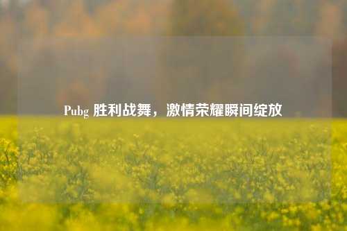 Pubg 胜利战舞，激情荣耀瞬间绽放