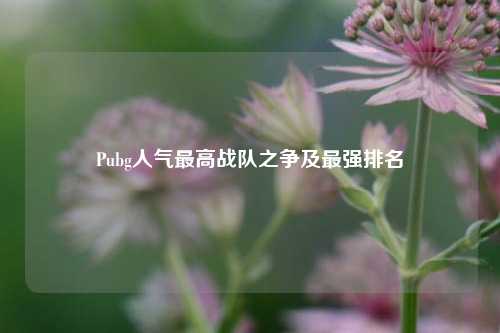 Pubg人气最高战队之争及最强排名