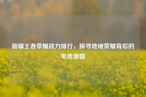 新疆王者荣耀战力排行，探寻地域荣耀背后的电竞激情