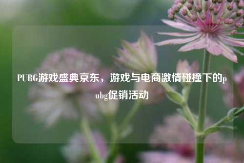 PUBG游戏盛典京东，游戏与电商激情碰撞下的pubg促销活动