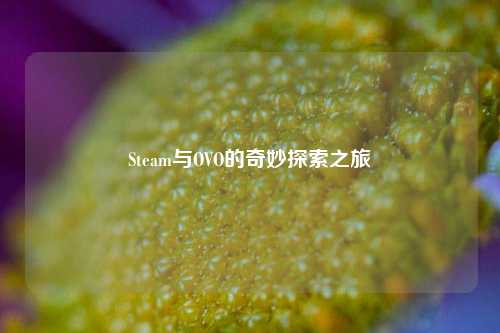 Steam与OVO的奇妙探索之旅