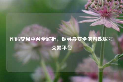 PUBG交易平台全解析，探寻最安全的游戏账号交易平台