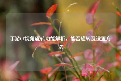 手游CF视角旋转功能解析，能否旋转及设置方法