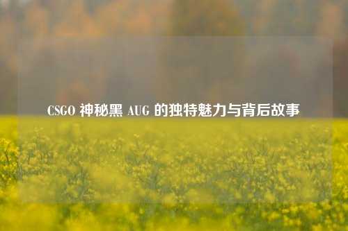 CSGO 神秘黑 AUG 的独特魅力与背后故事