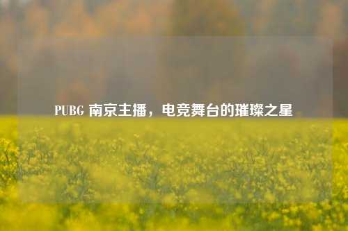 PUBG 南京主播，电竞舞台的璀璨之星