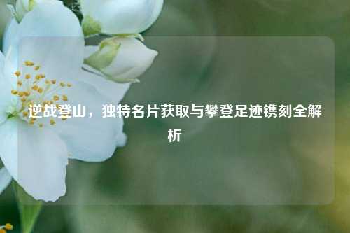 逆战登山,独特名片获取与攀登足迹镌刻全解析
