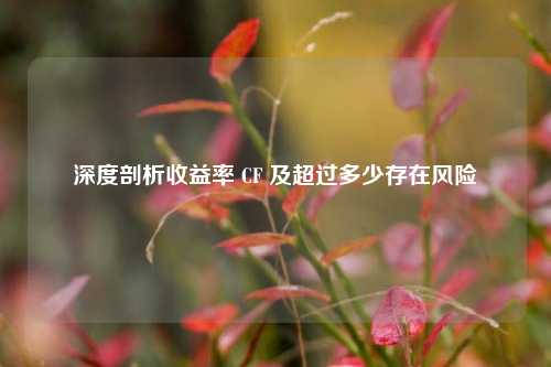 深度剖析收益率 CF 及超过多少存在风险