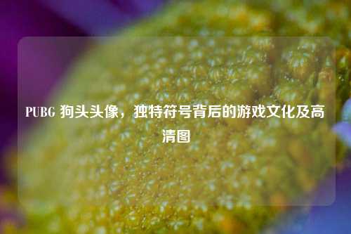 PUBG 狗头头像，独特符号背后的游戏文化及高清图