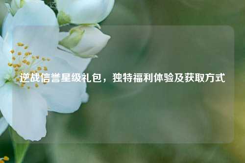 逆战信誉星级礼包，独特福利体验及获取方式