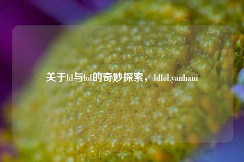 关于ld与lol的奇妙探索，ldlol.yanhani