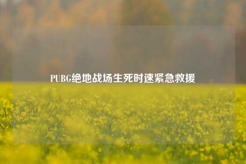 PUBG绝地战场生死时速紧急救援