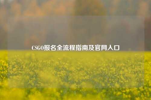 CSGO报名全流程指南及官网入口