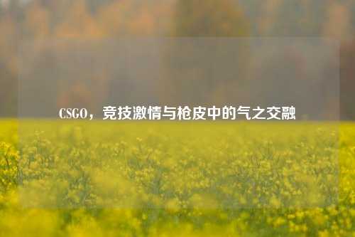 CSGO，竞技激情与枪皮中的气之交融