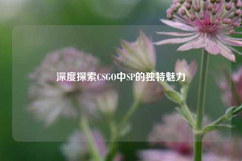 深度探索CSGO中SP的独特魅力