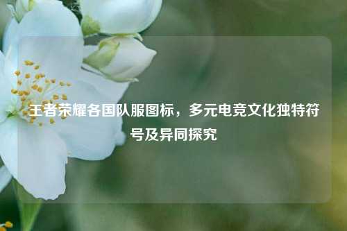 王者荣耀各国队服图标，多元电竞文化独特符号及异同探究