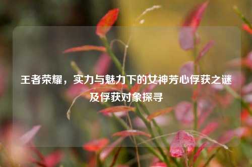 王者荣耀，实力与魅力下的女神芳心俘获之谜及俘获对象探寻