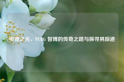 电竞之光，PUBG 智博的传奇之路与探寻其踪迹