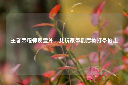 王者荣耀惊现意外，女玩家晕倒后被打晕抱走