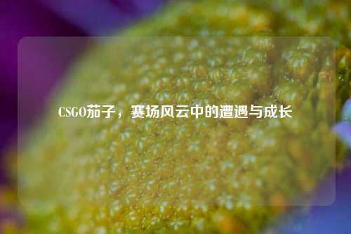 CSGO茄子，赛场风云中的遭遇与成长