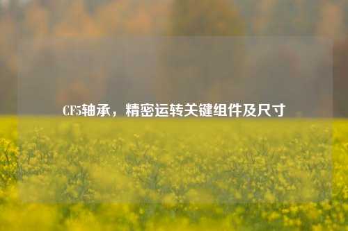 CF5轴承，精密运转关键组件及尺寸