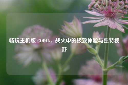 畅玩主机版 COD16,战火中的极致体验与独特视野