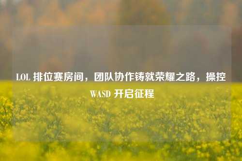 LOL 排位赛房间,团队协作铸就荣耀之路,操控 WASD 开启征程